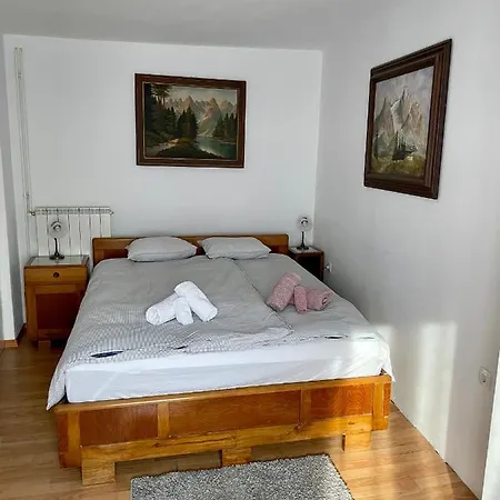 Apartma Pri Soci شقة بوويتش